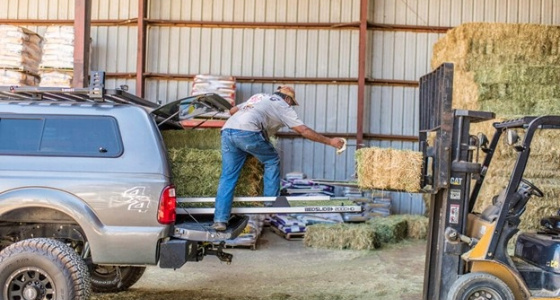Maximizing Truck Bed Storage: Innovative Ideas for Space Optimization